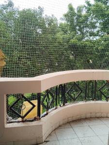 Balcony Image of 1100 Sq.ft 2 BHK Apartment / Flat for rent in Katanga Jabalpur for Rs. 15000