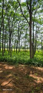 Image of 9000 Sq.ft Residential Plot / Land for sale in Kamsanpalle, Narayanpet for Rs. 7500000