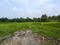 Diamond Park Main Image 1