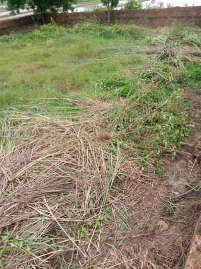 Madanpur Main Image 1