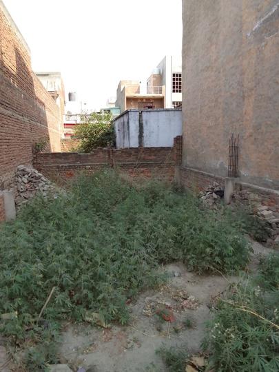 Chhapraula Main Image 1