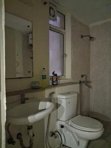 Common Bathroom Image of 1390 Sq.ft 3 BHK Apartment / Flat for rent in Jaypee Kosmos, Sector 134 Noida for Rs. 41000