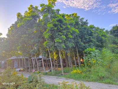 Image of 3526 Sq.ft Residential Plot / Land for sale in Payradanga, Nadia for Rs. 2650000