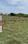 Adhanur Main Image 1