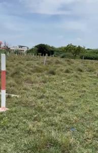 Residential Plot