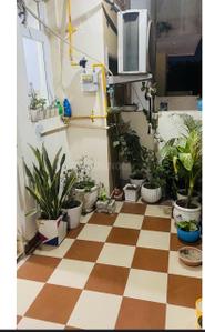 Image of 540 Sq.ft 2 BHK Independent House for sale in Sector 62, Faridabad for Rs. 7100000