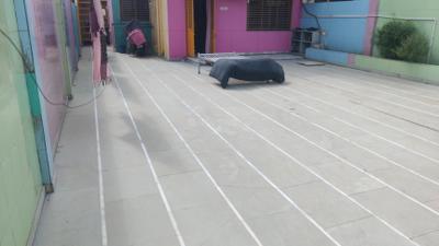 Terrace Image of 2500 Sq.ft 3 BHK Villa for sale in Chandkheda Ahmedabad for Rs. 25000000
