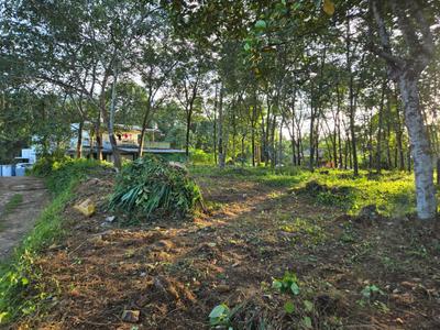 Puthenkurish Plot View 3