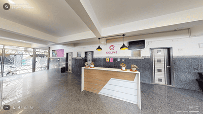 Image of colive palmer in Bellandur, Bengaluru