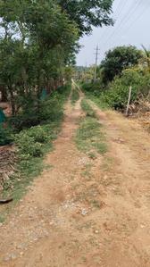 Image of 239580 Sq.ft Residential Plot / Land for sale in Gaddige, Mysore for Rs. 33000000