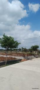 Image of 1339 Sq.ft Residential Plot / Land for sale in Bhilai Marshalling Yard, Charoda for Rs. 2142000