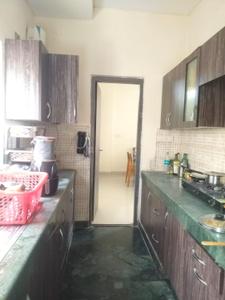 Kitchen Image of 2350 Sq.ft 3 BHK Apartment / Flat for sale in Ardee Palm Grove Heights, Sector 52 Gurgaon for Rs. 36000000