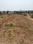 Highway Plot Main Image 1