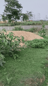 Image of 435 Sq.ft Residential Plot / Land for sale in Namkum, Ranchi for Rs. 1100000