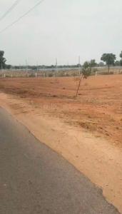 Nandiwanaparthy Plot View 1