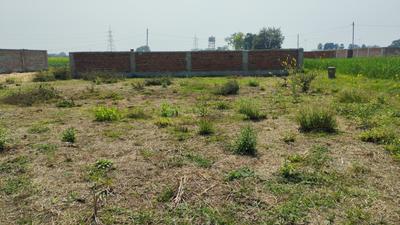 Image of 750 Sq.ft Residential Plot / Land for sale in Chirora, Patna for Rs. 1725000