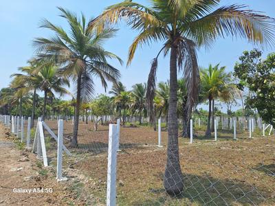 Image of 8505 Sq.ft Residential Plot / Land for sale in Melmaruvathur, Chennai for Rs. 2976750