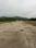 Royal garden resort naigaon east Plot View 2