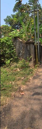 Nadakavu Main Image 1