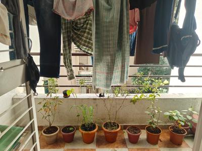 Balcony Image of 610 Sq.ft 1 BHK Apartment / Flat for sale in HRT Pranjal Residency, Baner Pune for Rs. 6000000