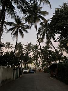 Image of 500 Sq.ft 1 BHK Apartment / Flat for rent in Udadhi Tarang Cottages, Juhu, Mumbai for Rs. 85000
