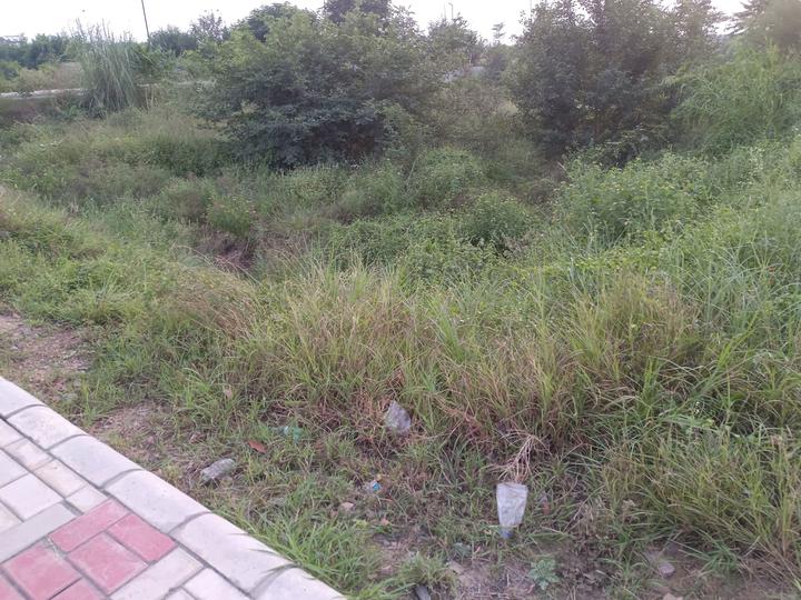 Betterchoice Vanya City Main Image 1