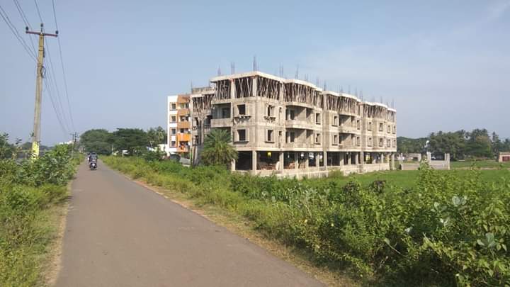 elite monarch Main Image 1