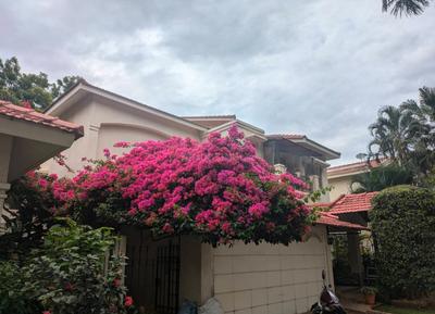 Image of 5000 Sq.ft 3 BHK Villa for sale in Adarsh Palm Meadows, Whitefield, Bengaluru for Rs. 225000000