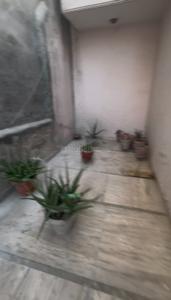 Bedroom Image of 4400 Sq.ft 4 BHK Independent House for sale in Sector 23 Gurgaon for Rs. 73000000