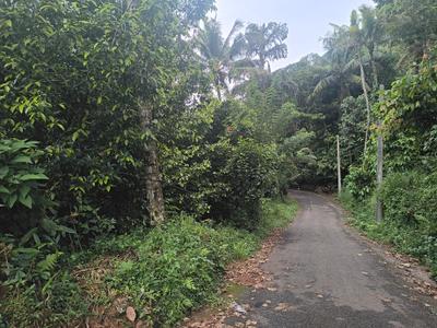 Image of 600 Sq.ft 3 BHK Independent House for sale in Kanjikuzhy, Idukki for Rs. 1300000