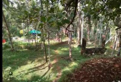 Image of 13068 Sq.ft Residential Plot / Land for sale in Vakayad, Kozhikode for Rs. 100000