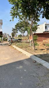 Image of 238 Sq.ft Residential Plot / Land for sale in Altus Muirwoods Ecocity Extension 1, New Chandigarh, Chandigarh for Rs. 20000000