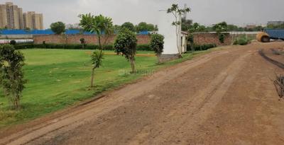 JMS The Pearl Plot View 3