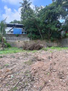 Chottanikkara Plot View 3