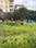 residential site Main Image 1