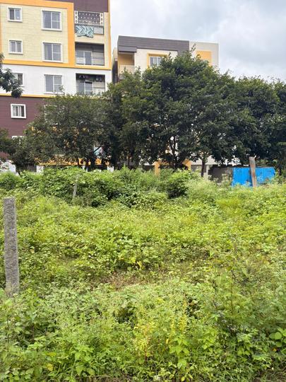 residential site Main Image 1