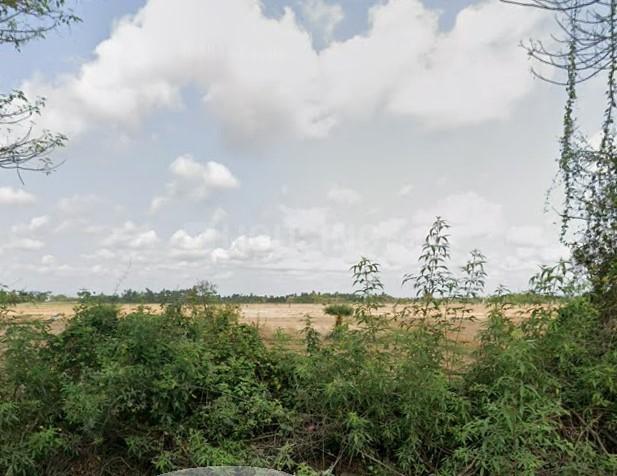 Muttukadu Main Image 1