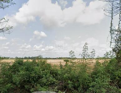 Muttukadu Plot View 1