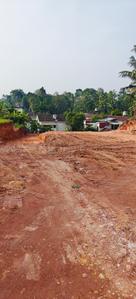Kakkanad Plot View 2