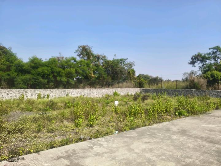 Goldmark Rhythm Main Image 1