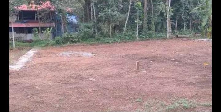 Nattassery East Main Image 1