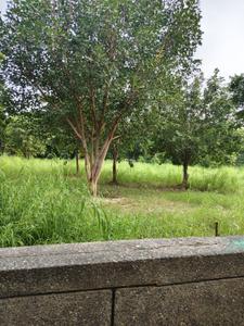 Image of 300 Sq.ft Residential Plot / Land for sale in Sector 25 YEIDA, Greater Noida for Rs. 26500000