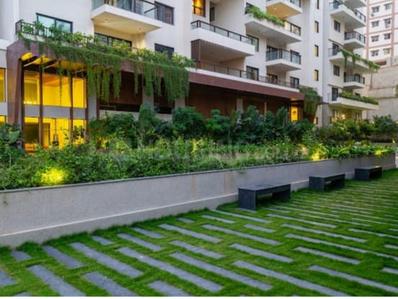 3 BHK Flat