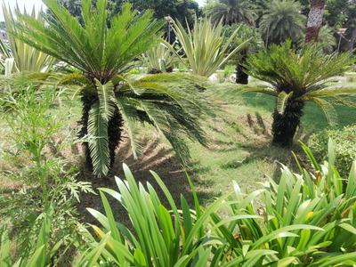Image of 3300 Sq.ft Residential Plot / Land for sale in DLF Garden City, Mohanlalganj, Lucknow for Rs. 26400000