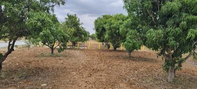 Image of 7623 Sq.ft Residential Plot / Land for sale in Narsapura, Kolar for Rs. 4573800