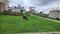 JSI Aalishan City Main Image 1