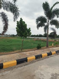 Shadnagar Plot View 3