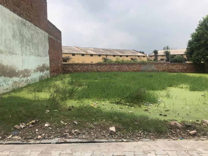 Residential 1800 Sqft Plot for sale at Old Town, Ambala City Property ID 7751039