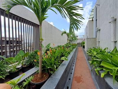 Balcony Image of 600 Sq.ft 1 BHK Apartment / Flat for rent in UK Iridium, Kandivali East Mumbai for Rs. 30000