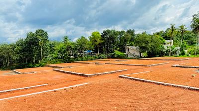 Mulanthuruthy Plot View 2